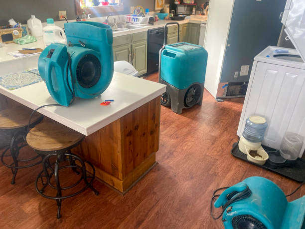 Best Flooded house restoration  in Schofield, WI