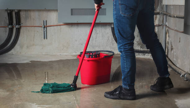Best Water damage contractors near me  in Schofield, WI
