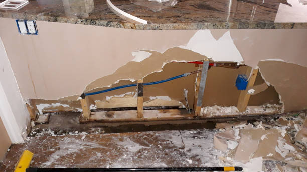 Best Professional water damage repair  in Schofield, WI