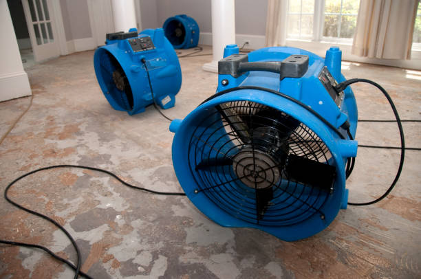 Best Water damage restoration specialists  in Schofield, WI