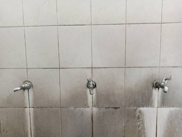 Best Sewage cleanup and water damage restoration  in Schofield, WI