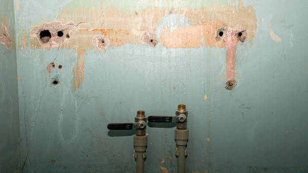 Best 24/7 water damage repair  in Schofield, WI