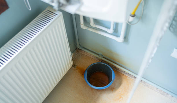 Best Water damage restoration process  in Schofield, WI