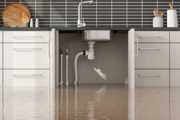 Best Carpet water damage restoration  in Schofield, WI