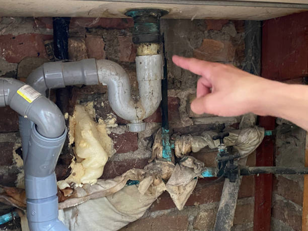 Best Mold removal after water damage  in Schofield, WI