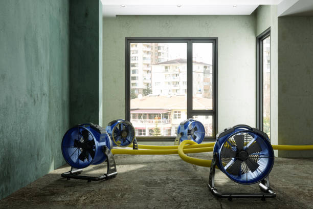 Best Emergency water damage restoration  in Schofield, WI
