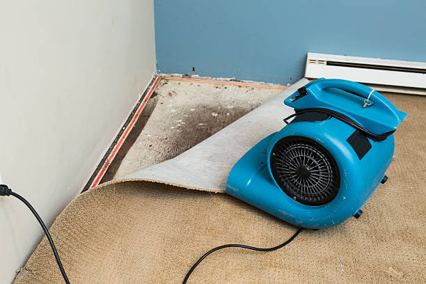 Best 24/7 water damage repair  in Schofield, WI